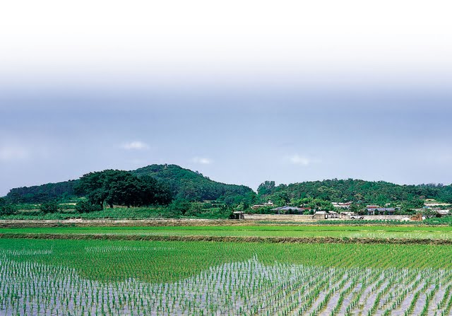 객망리시루산-패더